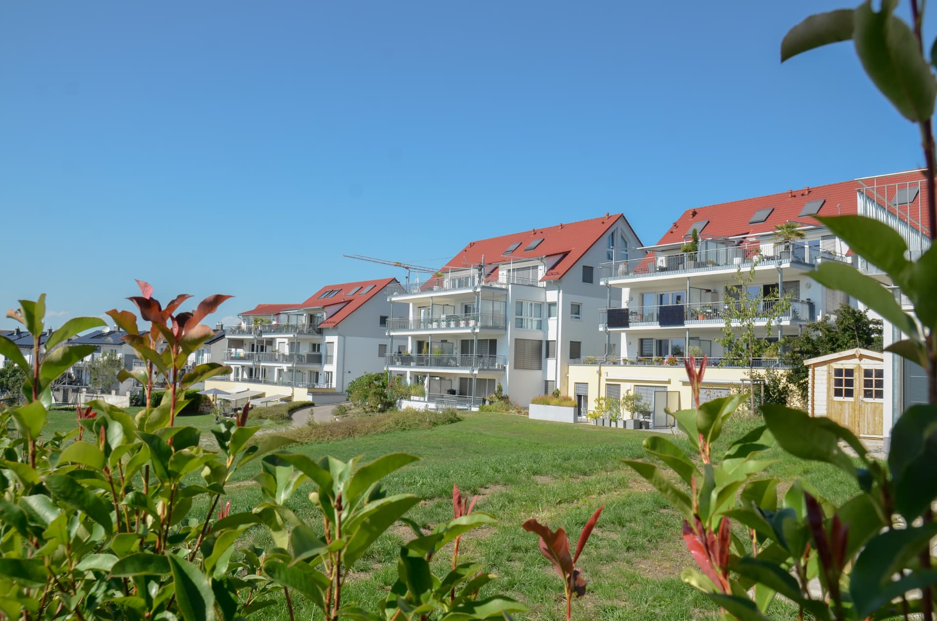 Wohnanlage mit weißen Häusern und roten Dächern am Bodensee