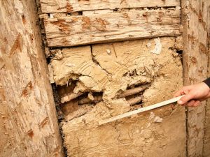 Erhaltene Fachwerkwand mit Weidengefachen und Lehmputz - Das Fachwerk wird gereinigt und gebürstet